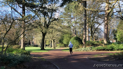 Парк Wolverhampton West Park в Великобритании