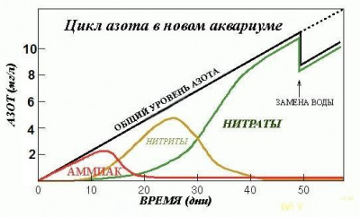 Очень высокие нитриты и нитраты в новом аквариуме без рыб