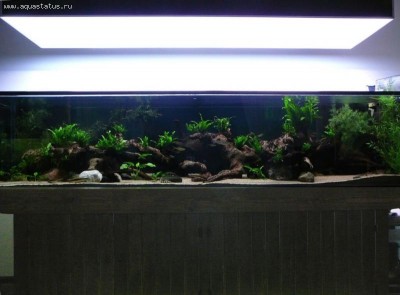 Мой аквариум Боцарий 280 литров bosmat  - 22222.jpg