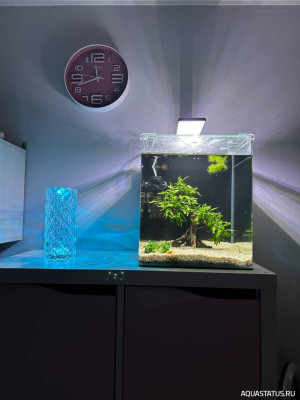 Нано аквариум 30 литров (Akexandritsa)