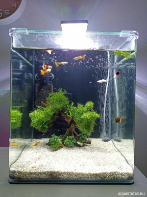 Нано аквариум 30 литров (Akexandritsa)