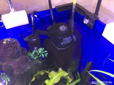 Угловой аквариум 50 литров (andrey_che)