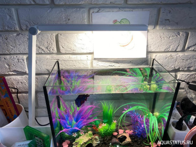 Установка нового светильника в аквариум