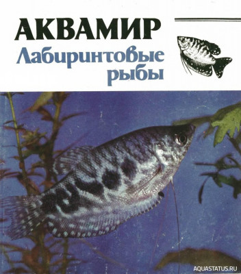 Фото Аквамир. Лабиринтовые рыбы, Дацкевич, 1992 (photo#149732)