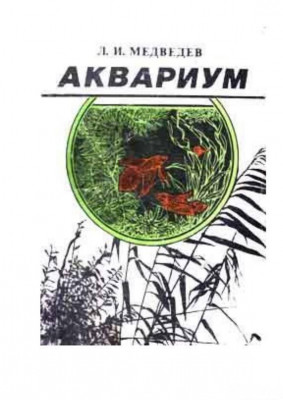 Аквариум, Медведев, 1989