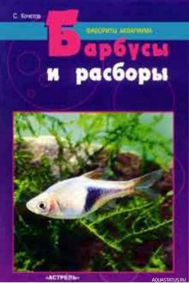 Фото Барбусы и расборы, Кочетов, 1998 (photo#149788)