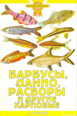 Фото Барбусы, данио, расборы и другие карповые, Гуржий, 2006 (photo#149790)