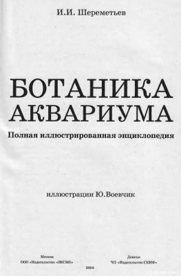 Фото Ботаника аквариума, Шереметьев, 2004 (photo#149795)