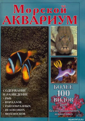 Морской аквариум, Гор, 2002