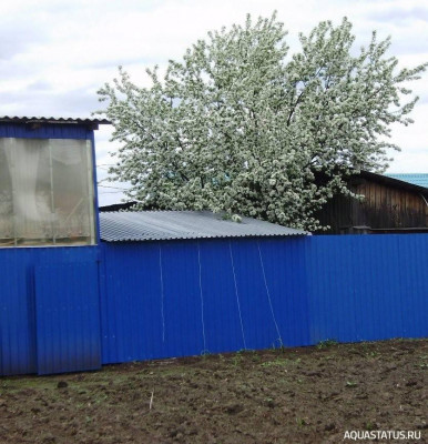 Фото Приусадебный участок. (photo#153938)