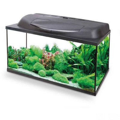 Переделка аквариума  Aqua4Home 60 в море