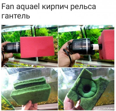 Начали дохнуть рыбки потихоньку