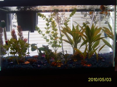 Мой первый аквариум 45 литров (Love1987)
