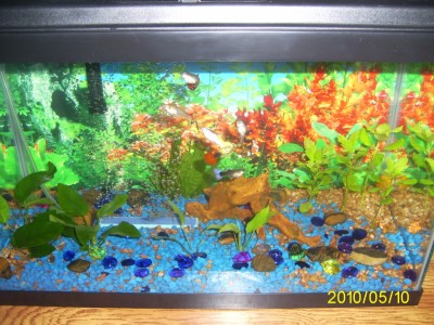 Мой первый аквариум 45 литров (Love1987)