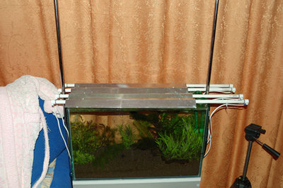 Создание аквариума на конкурс IAPLC 2009 объемом 60 литров (cdda)