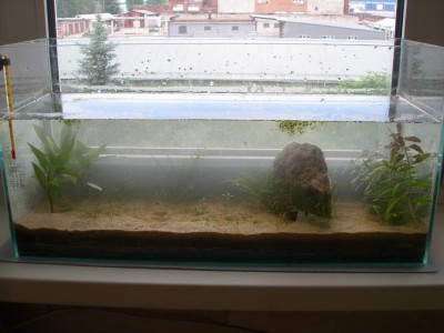 Мой аквариум Земля, песок, вода и солнышко 35 литров B.W.  - 1с.jpg