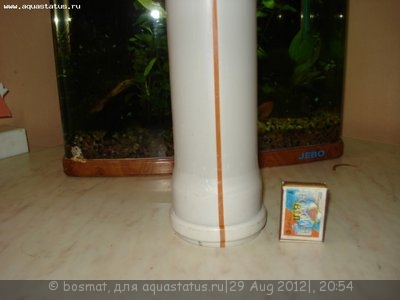 Мой аквариум Боцарий 280 литров bosmat  - DSC05504.JPG