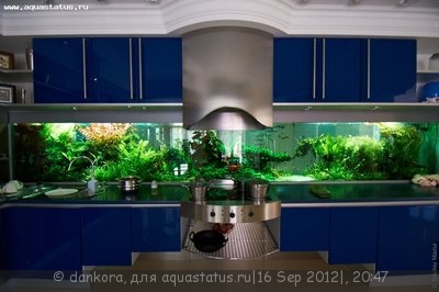 Интересные аквариумы со всего мира - 11.09.2012DSC92.jpg