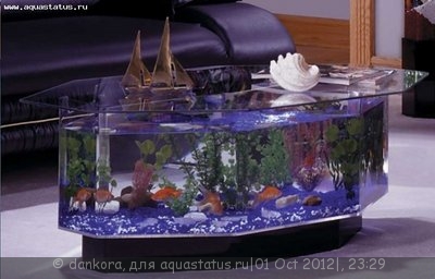 Интересные аквариумы со всего мира - 1295811897_aquatablehigh.jpg