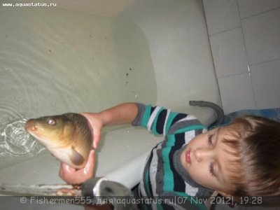 Аквариум любителя 100 литров (Fishermen555)
