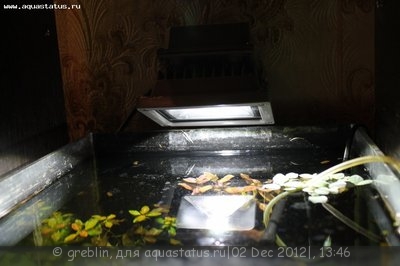 Светодиодное освещение аквариума - IMG_3809[1].jpg