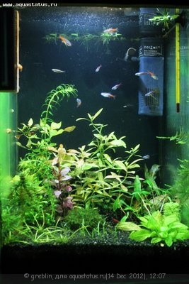 Светодиодное освещение аквариума - IMG_4780.jpg