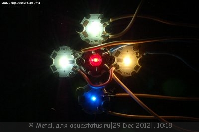 Светодиодное освещение аквариума - DSC_6397.JPG