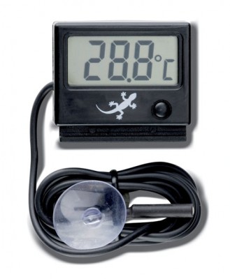Электронный термометр - термометр.jpg
