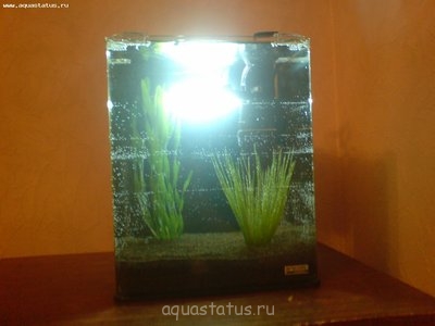 Фото Мой аквариум Nano Cube 20 литров Атя  (photo#32430)