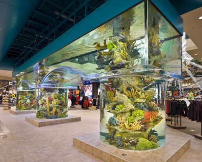 Интересные аквариумы со всего мира - !2.jpg