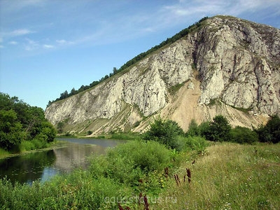 Фото Мастер-класс по акваскейпу для начинающих (photo#37395)