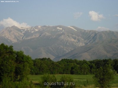 Мастер-класс по акваскейпу для начинающих