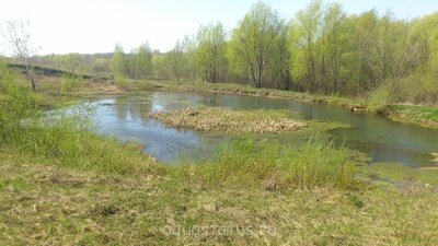 Мастер-класс по акваскейпу для начинающих