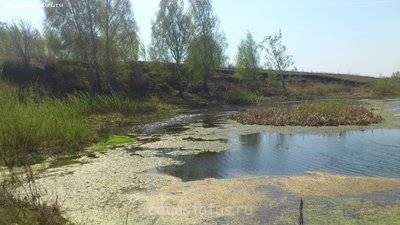 Фото Мастер-класс по акваскейпингу, Ендовка 52 л Sapozhnikov-Aleksey  (photo#37662)