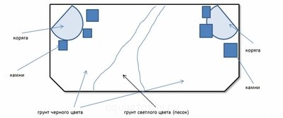 Фото Что нужно учесть при планировании аквариума (photo#37997)