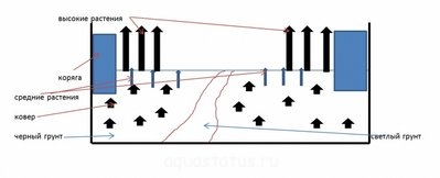 Фото Что нужно учесть при планировании аквариума (photo#37998)