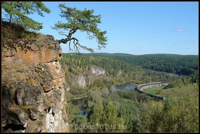 Фото Мастер-класс по акваскейпингу, аквариум 100 л Долина exlibry_mari_bon  (photo#38082)