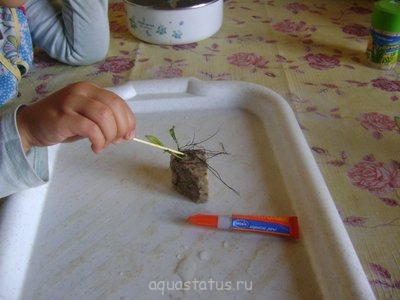 Ивагуми в старой вазе (Ю.В.)