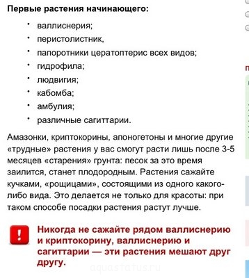 Запуск Dennerle 30, прошу совета