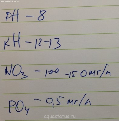 Определение водорослей в аквариуме