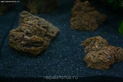 Фото Мой долгожданный аквариум на 150 литров AlenaMarishka  (photo#42040)
