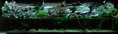 Фото самодельный длинный аквариум (photo#4353)