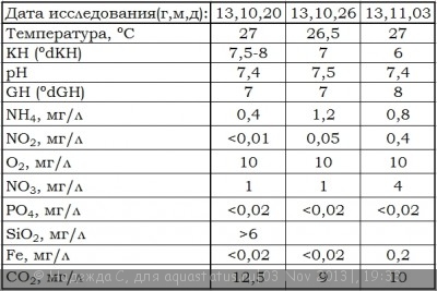 Мой аквариум 40 литров (Надежда С)