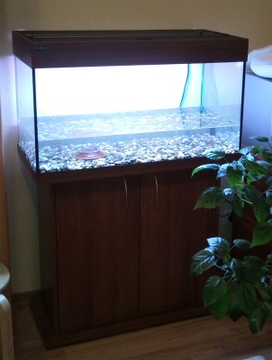 Мой аквариум 150 литров Gora  - SNC00330.jpg