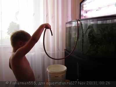 Аквариум любителя 100 литров (Fishermen555)