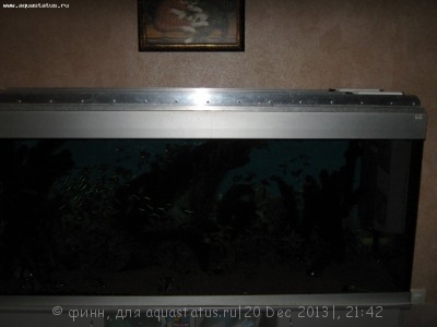 Светодиодное освещение аквариума - IMG_1943.JPG