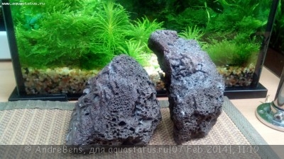 Камни лавы в аквариуме - IMG_20140207_082433_1.jpg