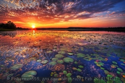 Фото Живая вода (photo#50871)