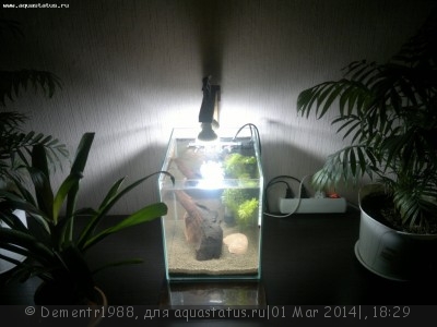 Фото Светодиодное освещение аквариума (photo#51935)