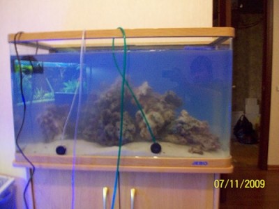 Моё знакомство с морским аквариумом 150 литров mishael  - 0_180f4_4c82c70b_L.jpg